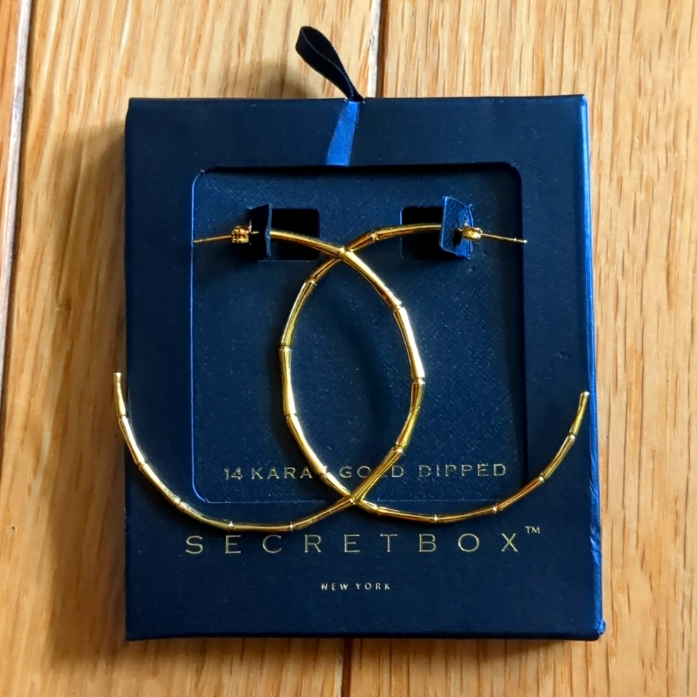 SecretBox 14k Gold Dipped Earrings